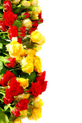 Similar image 685007