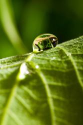 Similar image 685030