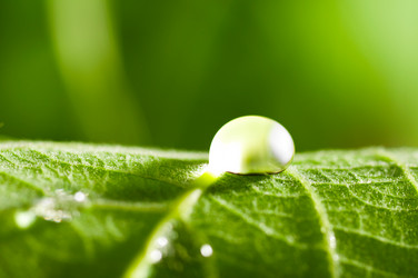 Similar image 685031