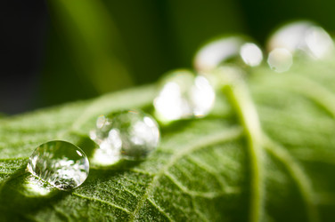 Similar image 685032