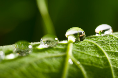 Similar image 685034