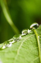 Similar image 685035