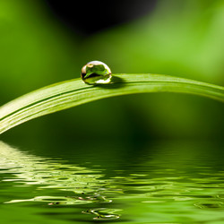 Similar image 685068