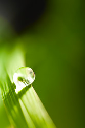 Similar image 685074