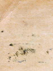 Similar image 685137