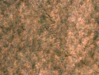 Similar image 685148