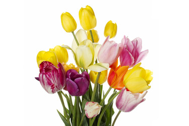 Similar image 685181