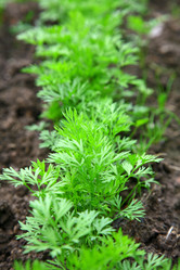 Similar image 685245