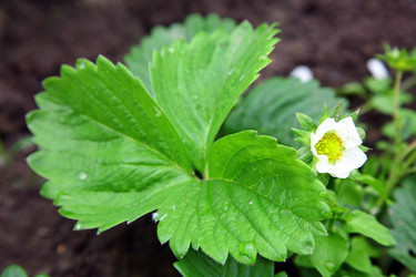 Similar image 685248