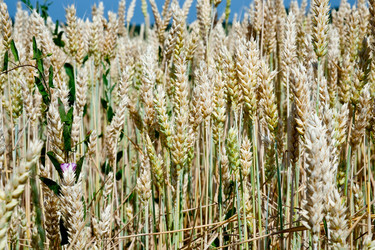 Similar image 685273