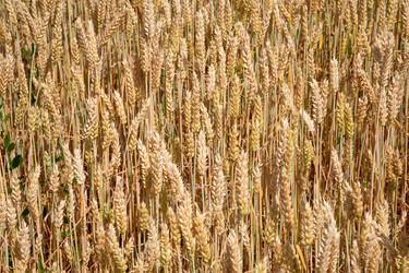 Similar image 685277