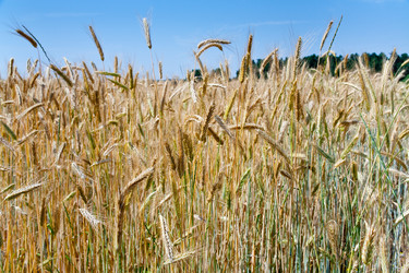 Similar image 685278