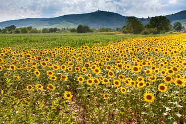 Similar image 685354