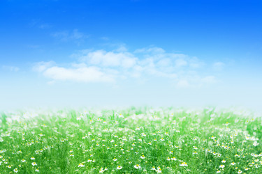 Similar image 685368