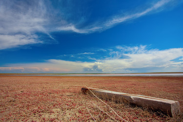 Similar image 685392