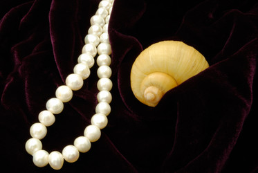 Similar image 685397