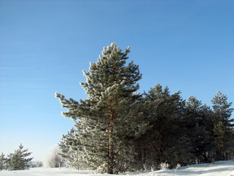 Similar image 685407