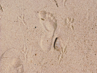 Similar image 685409