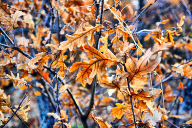 Similar image 685410