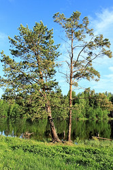 Similar image 685441