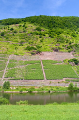 Similar image 685470