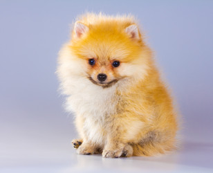 Similar image 685559