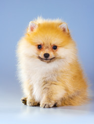 Similar image 685560