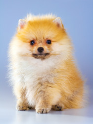 Similar image 685561