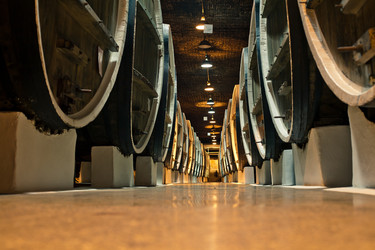 Similar image 685622