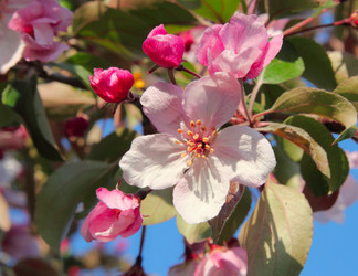 Similar image 685696