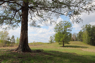 Similar image 685698