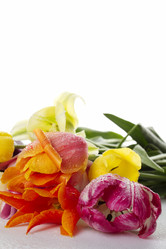 Similar image 685702