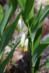 Similar image 685709