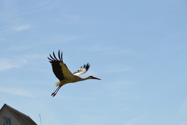 Similar image 685721