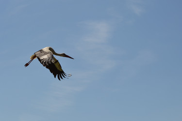 Similar image 685722