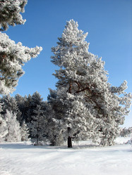 Similar image 685732