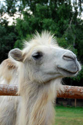 Similar image 685741