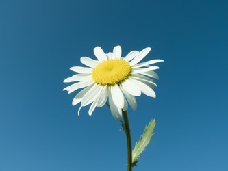 Similar image 685795