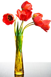 Similar image 685799