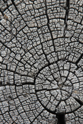 Similar image 685880