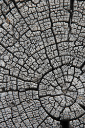 Similar image 685881