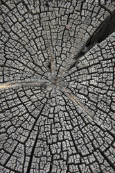 Similar image 685883