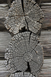 Similar image 685884