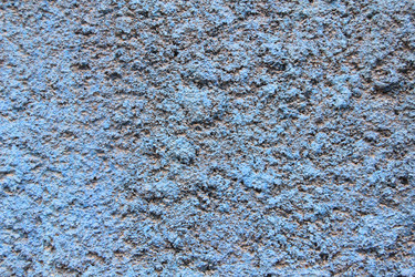 Similar image 686115