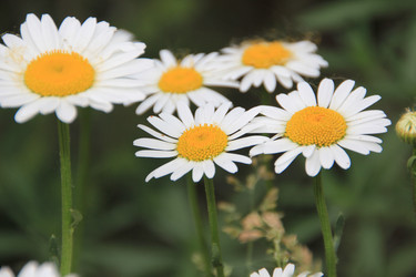 Similar image 686143