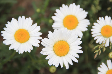 Similar image 686144