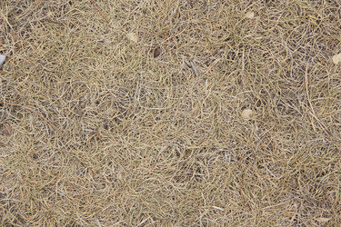 Similar image 686153