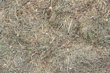 Similar image 686155