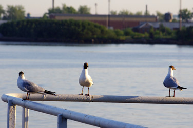 Similar image 686233