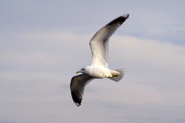 Similar image 686235